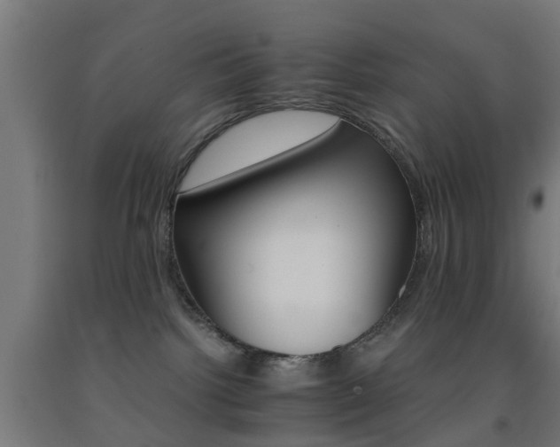 X0000093150092200709261454