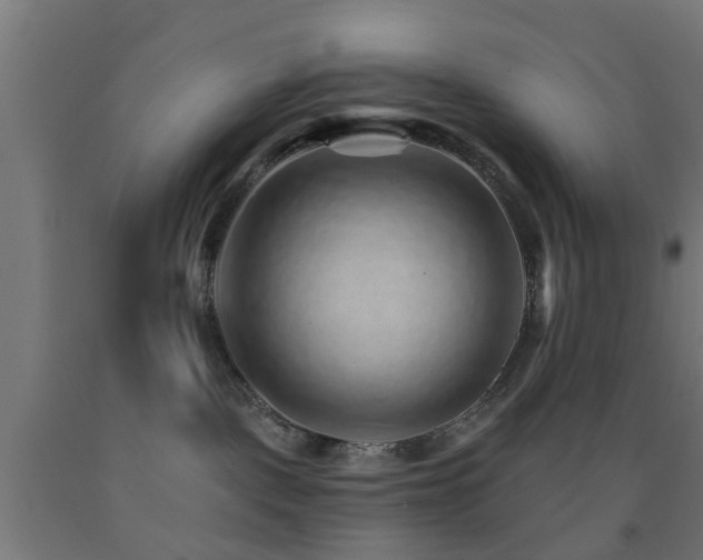 X0000093150093200709261454