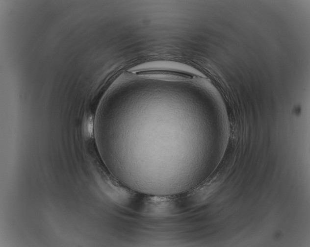 X0000093150095200709261454