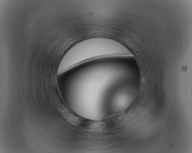 X0000093150096200709261454