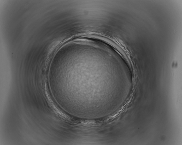 X0000093150097200709261454