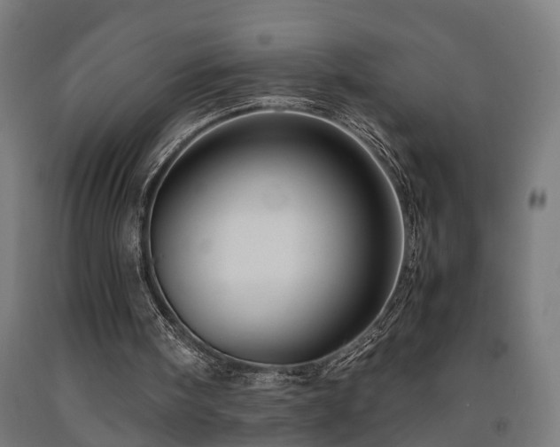 X0000093150098200709261454