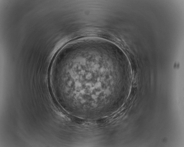 X0000093150099200709261454