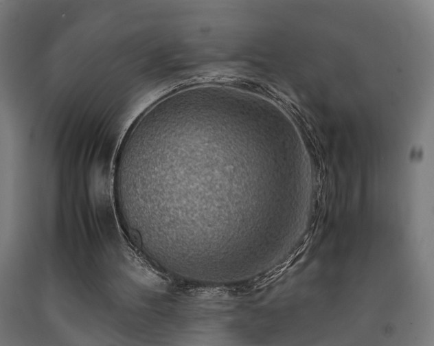 X0000093150100200709261453