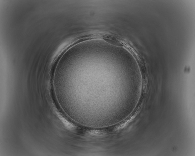 X0000093150101200709261453
