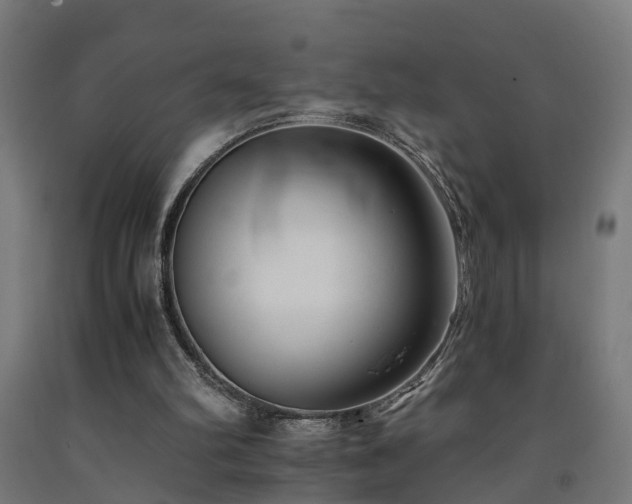 X0000093150102200709261453
