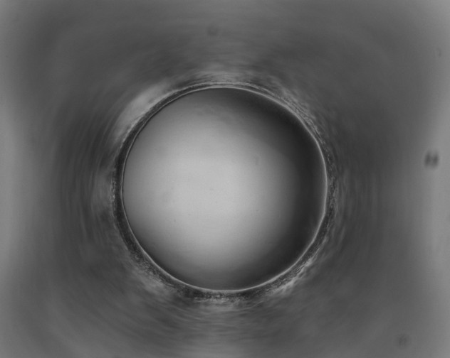 X0000093150103200709261453