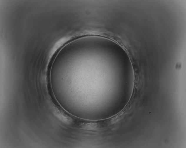 X0000093150104200709261453