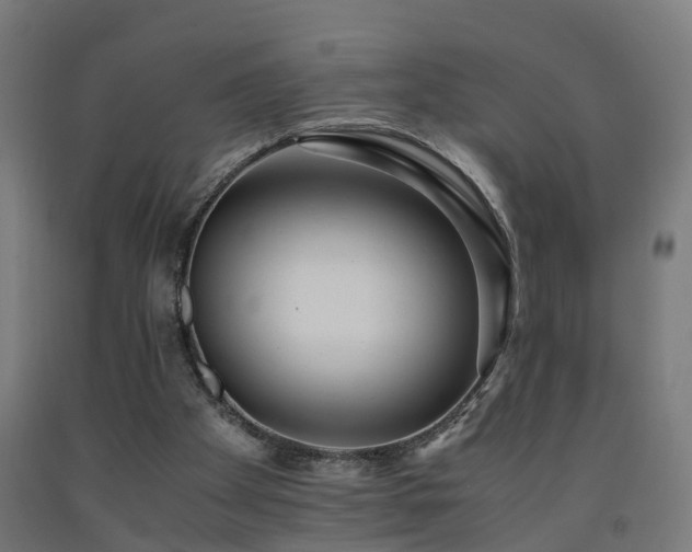 X0000093150105200709261453