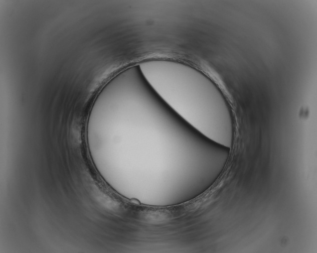 X0000093150106200709261453