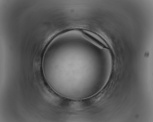 X0000093150107200709261453