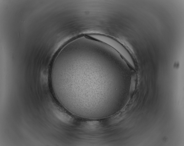 X0000093150108200709261453