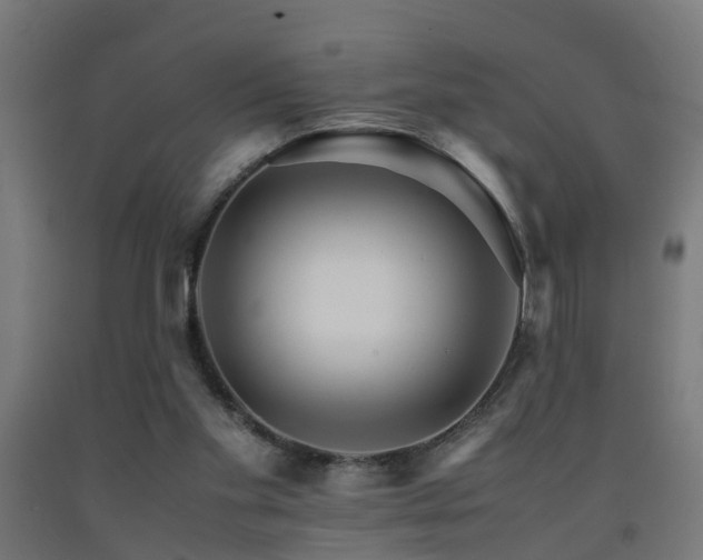 X0000093150109200709261453