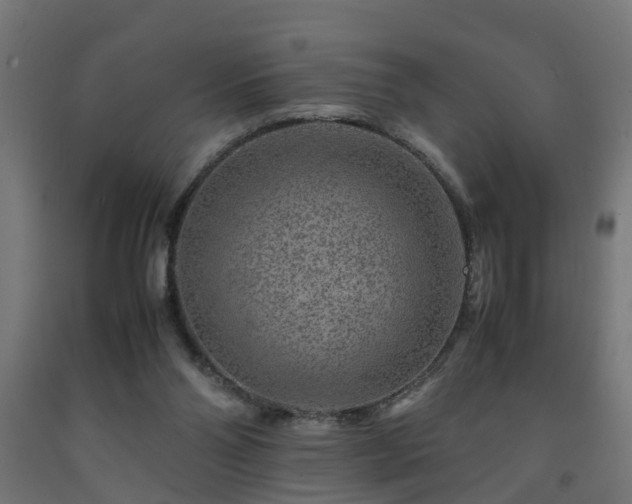 X0000093150110200709261453