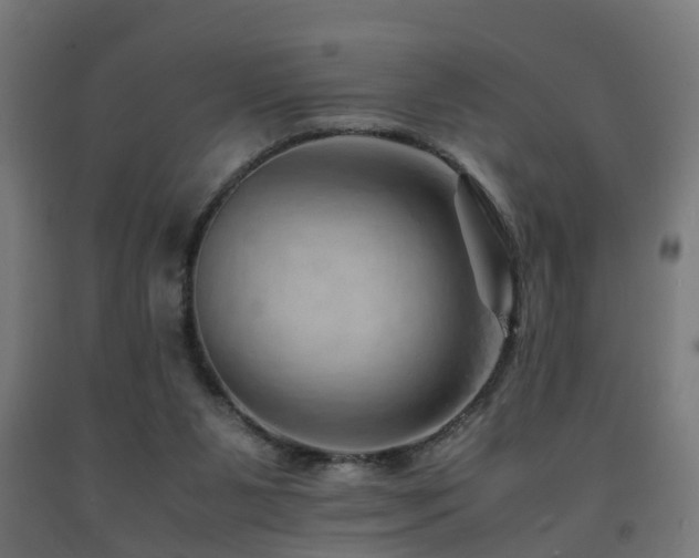 X0000093150111200709261453