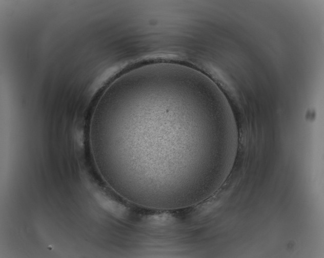 X0000093150112200709261453