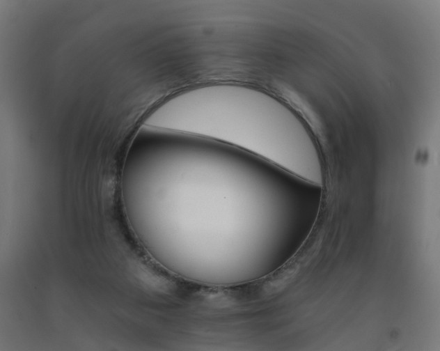 X0000093150113200709261453