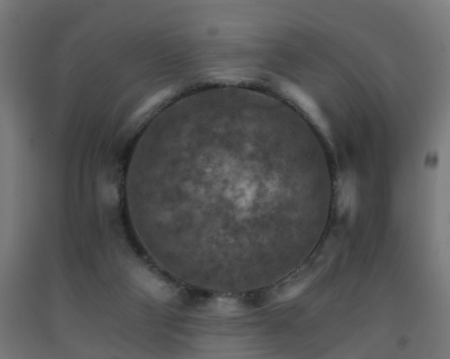 X0000093150114200709261453