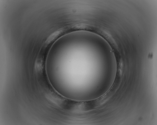 X0000093150116200709261453