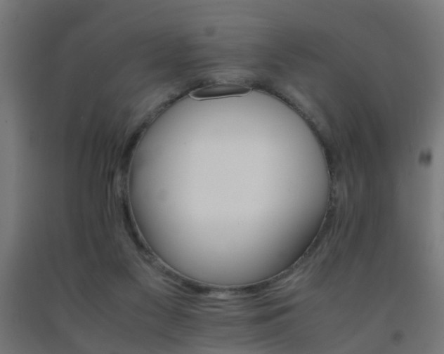 X0000093150117200709261453