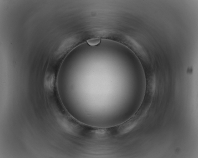 X0000093150118200709261453