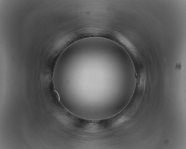 X0000093150119200709261453