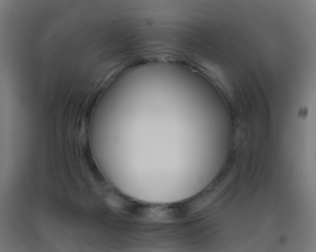 X0000093150121200709261453