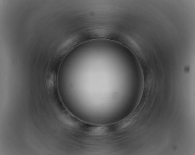 X0000093150122200709261453