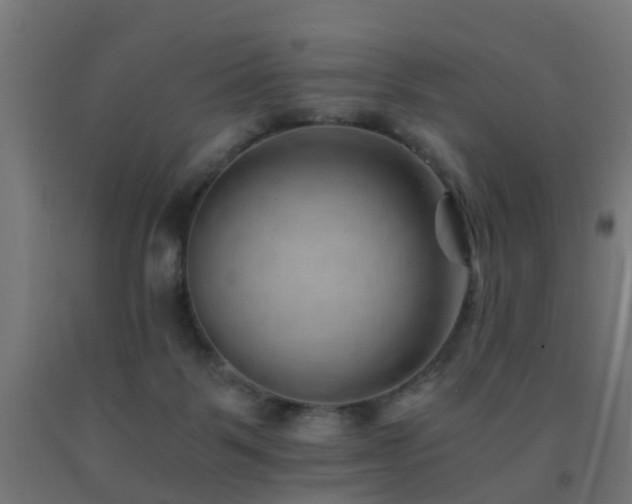 X0000093150123200709261453