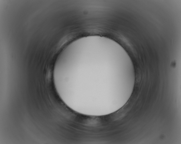 X0000093150124200709261453