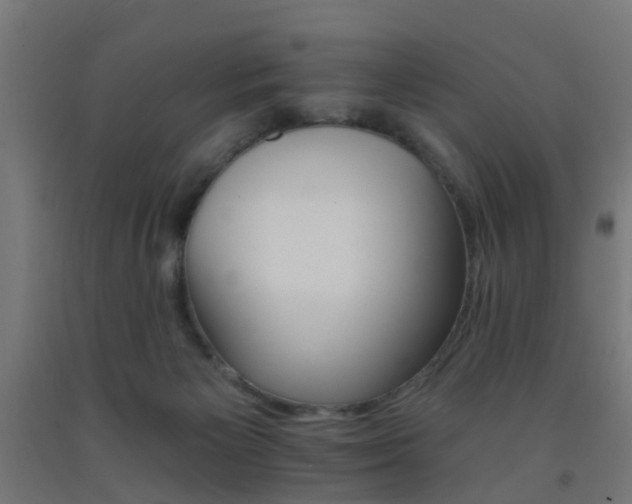 X0000093150125200709261453