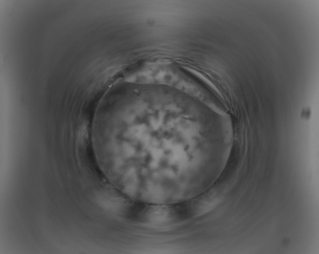 X0000093150127200709261453