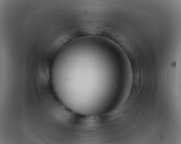 X0000093150128200709261453