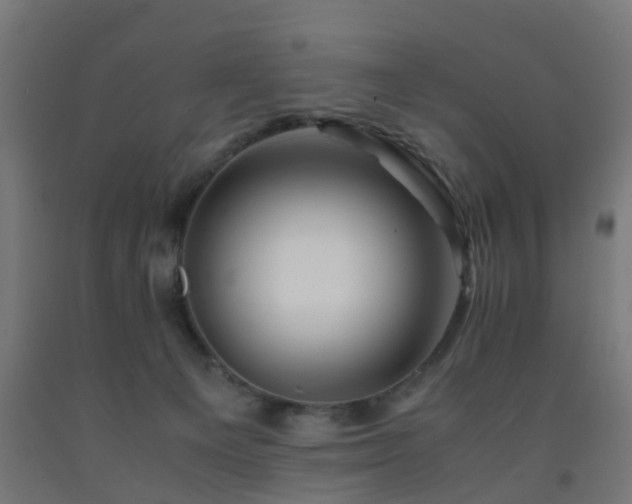 X0000093150129200709261453