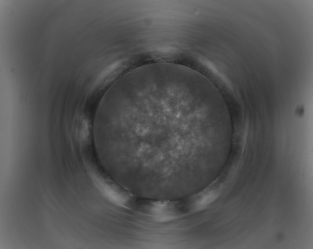 X0000093150130200709261453