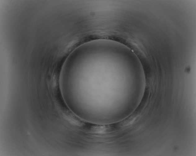 X0000093150131200709261453