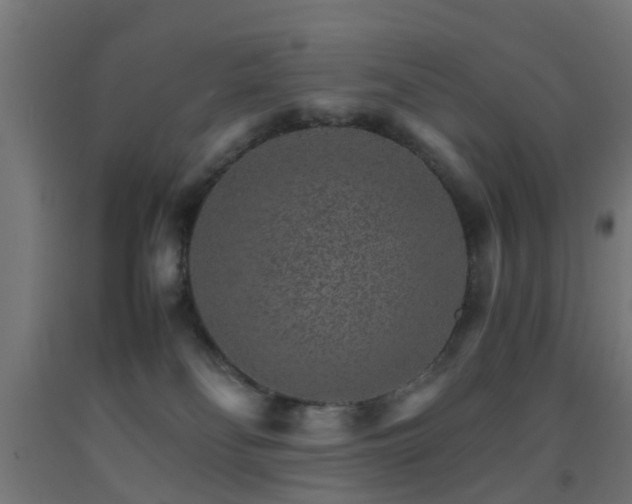 X0000093150134200709261453