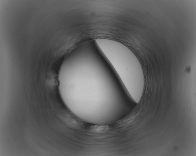 X0000093150135200709261453