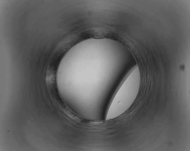 X0000093150137200709261453