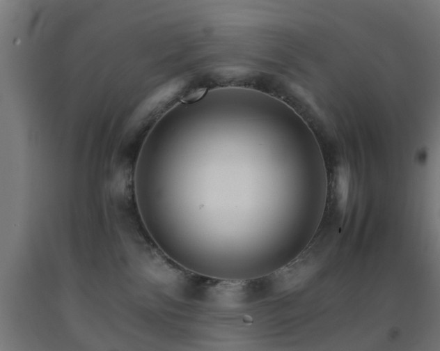 X0000093150138200709261453