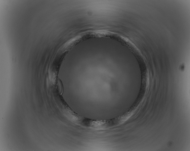 X0000093150139200709261453