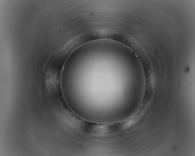 X0000093150140200709261453