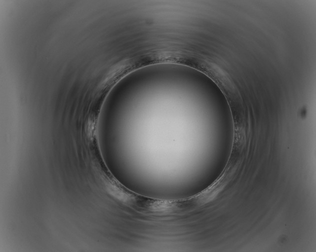 X0000093150142200709261453