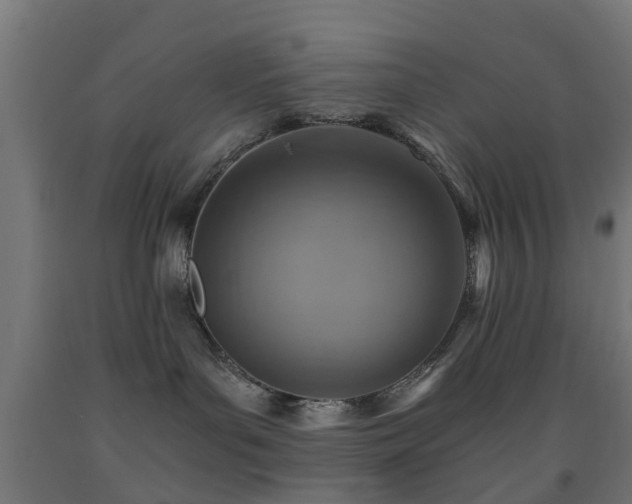 X0000093150143200709261453