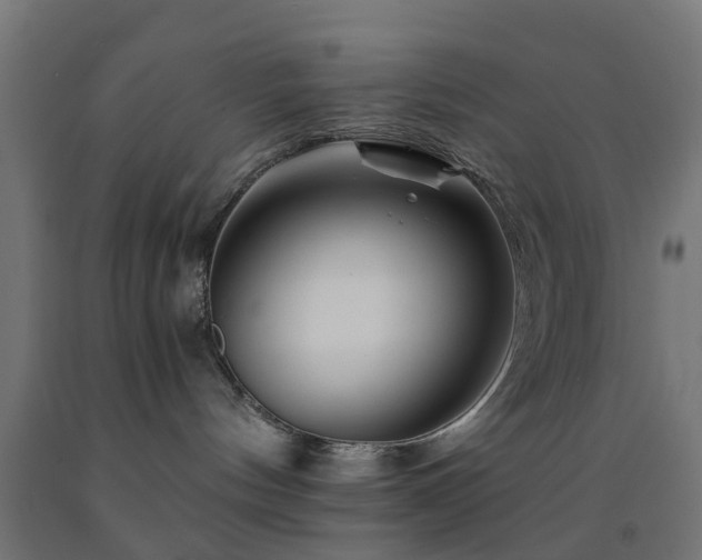 X0000093150144200709261453