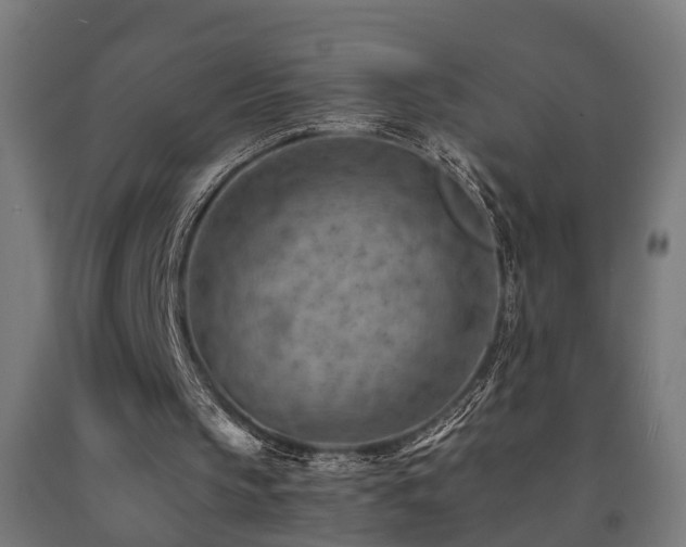 X0000093150145200709261452