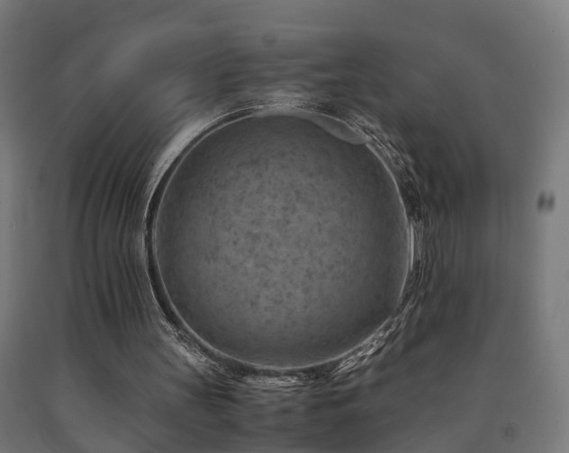 X0000093150147200709261452