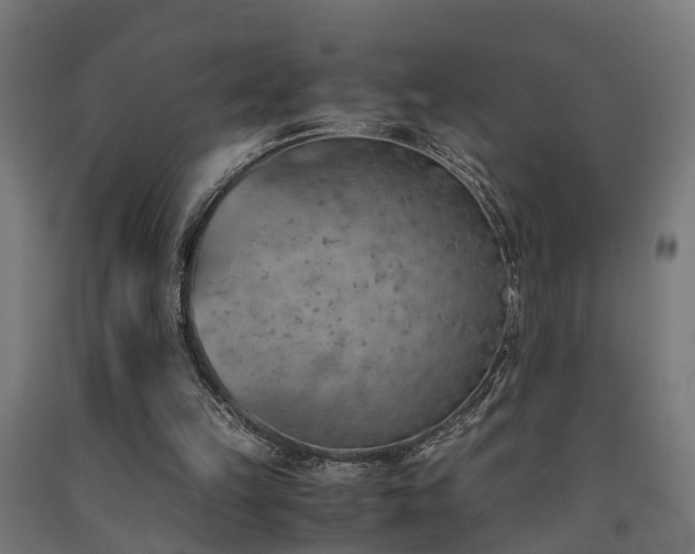 X0000093150149200709261452