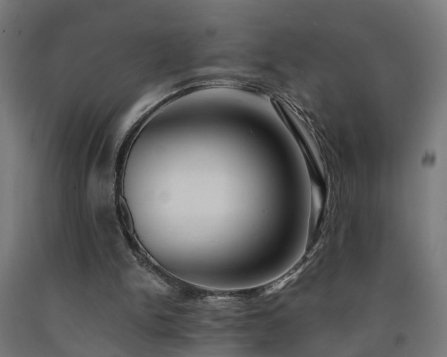 X0000093150150200709261452
