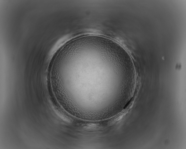 X0000093150151200709261452